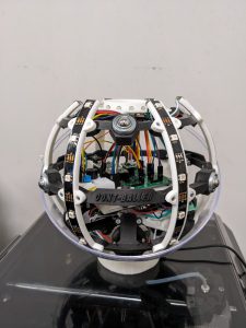 PXL_20241110_115345047